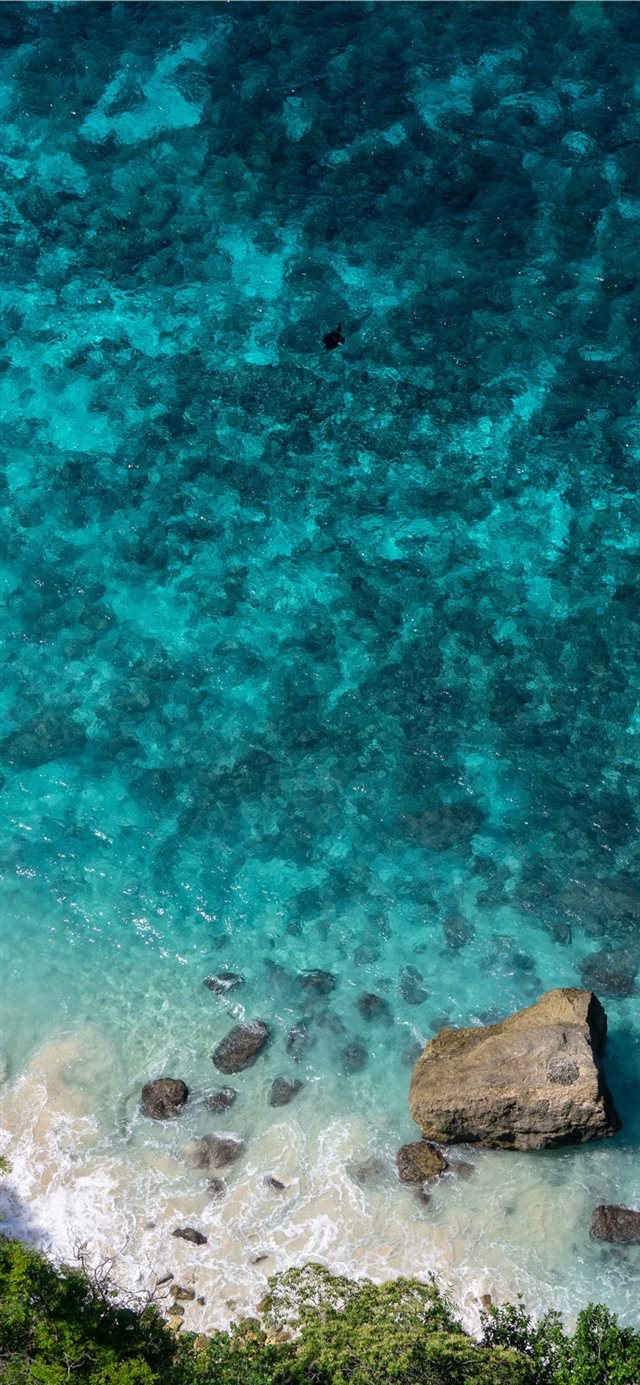 1125x2436 MANTA RAY OVER THE CLIFF [NUSA PENIDA  INDONESIA] -  iPhone 11 Wallpaper